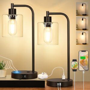 Set of 2 Industrial Touch Control Table Lamps with USB C+A Ports and AC Outlet - 3-Way Dimmable Black Bedside Lamps Nightstand Desk Lamps for Bedroom Living Room, Glass Shade & 2 LED Bulbs Included